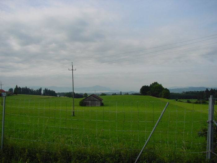 Gimpel002.jpg