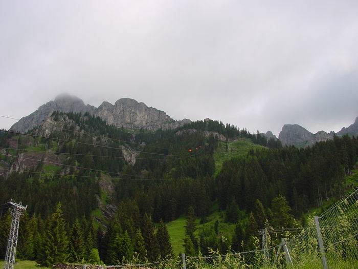 Gimpel003.jpg