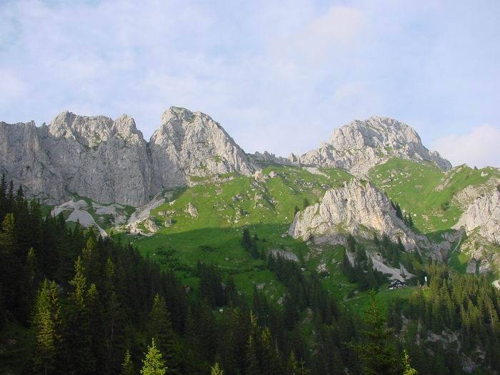 Gimpel017.jpg
