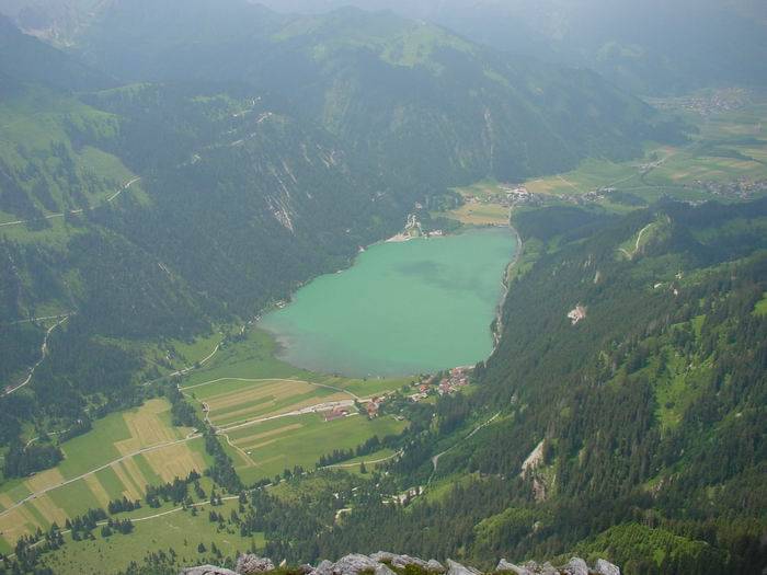 Gimpel043.jpg