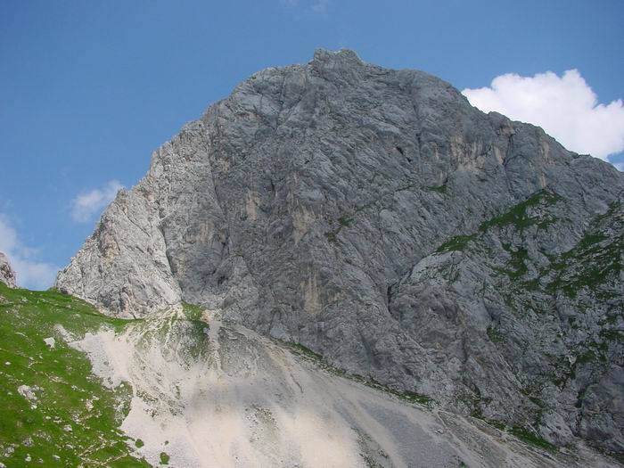Gimpel071.jpg