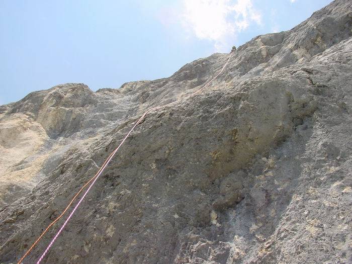 Gimpel078.jpg