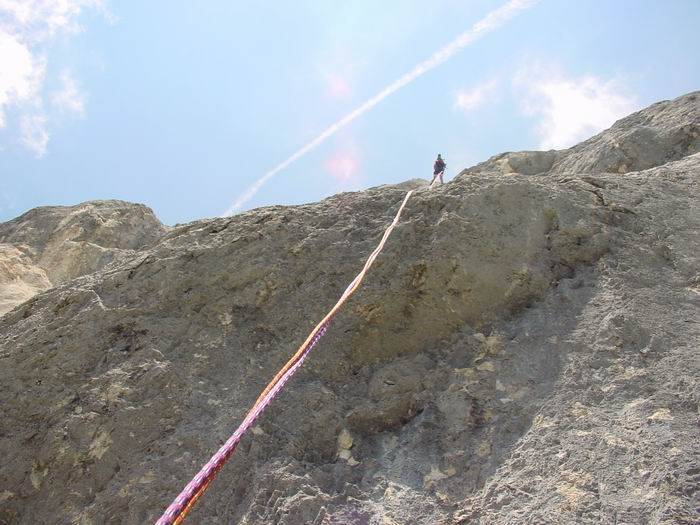 Gimpel081.jpg