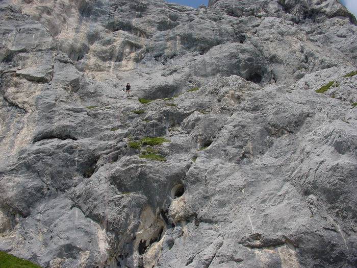 Gimpel091.jpg