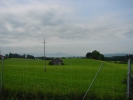Gimpel002.jpg