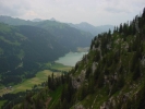 Gimpel011.jpg