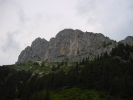Gimpel013.jpg