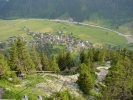 Gimpel016.jpg