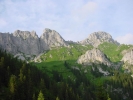 Gimpel017.jpg