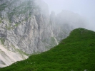 Gimpel024.jpg