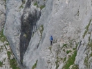 Gimpel030.jpg