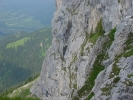 Gimpel031.jpg