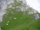 Gimpel032.jpg