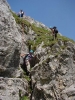 Gimpel036.jpg