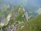 Gimpel040.jpg