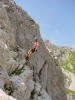Gimpel074.jpg