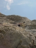 Gimpel076.jpg