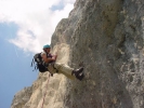 Gimpel077.jpg