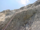 Gimpel078.jpg