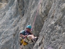 Gimpel079.jpg