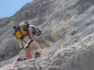 Gimpel080.jpg