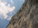 Gimpel082.jpg