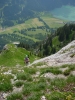 Gimpel086.jpg