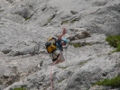 Gimpel089.jpg
