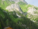Gimpel137.jpg