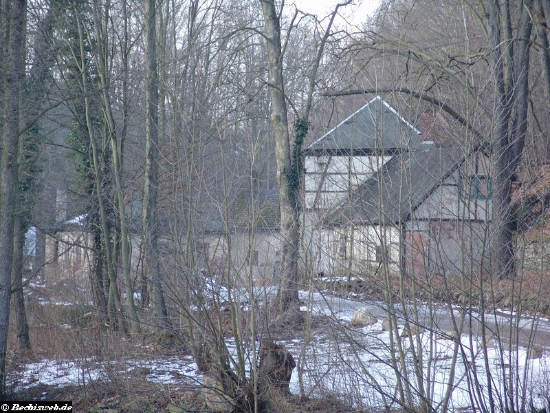 043DSC01541.JPG