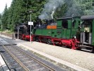 DSC05986.jpg