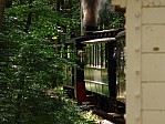 DSC09773.JPG