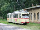 DSC01620.jpg