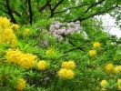 DSC02012.jpg