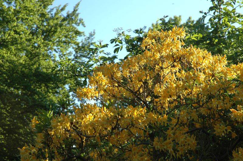 DSC_3689.jpg