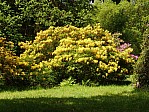 DSC02686.JPG