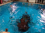 DSC04357.jpg
